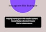 high converting instagram captions and bio to grow your brand